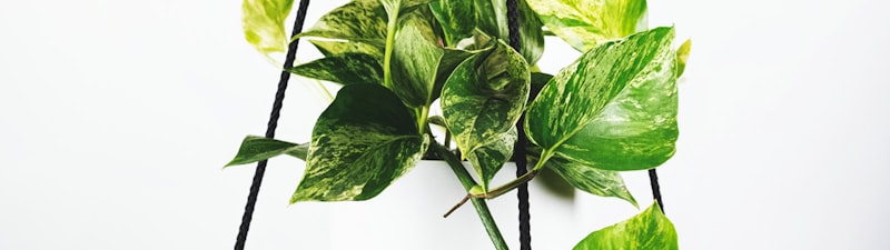 2026世界杯预选赛欧洲区焦点战直播画面